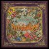 PANIC! AT THE DISCO Pretty. Odd.
