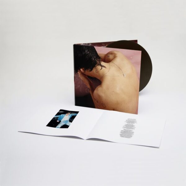 Vinil Harry Styles - Harry Styles - Image 2