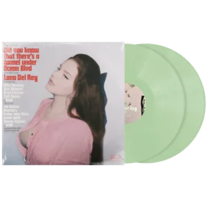 Vinil Lana Del Rey - Did You Know