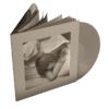 Vinil Taylor Swift – The Tortured Poets Departament (The Bolter)