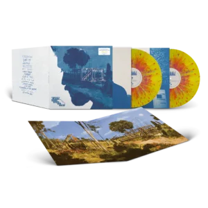 Vinil Zayn - Room Under The Stairs