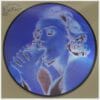 Vinil Madonna - Erotica (Picture Disc)