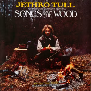 Vinil Jethro Tull - Songs From The Wood