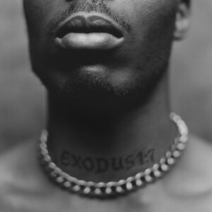 Vinil DMX - Exodus