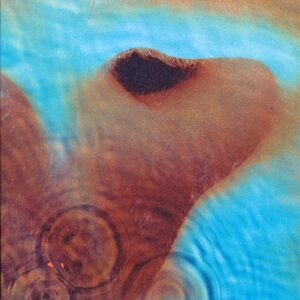 Vinil Pink Floyd - Meddle