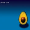 Vinil Pearl Jam - Pearl Jam "Avocado Album"